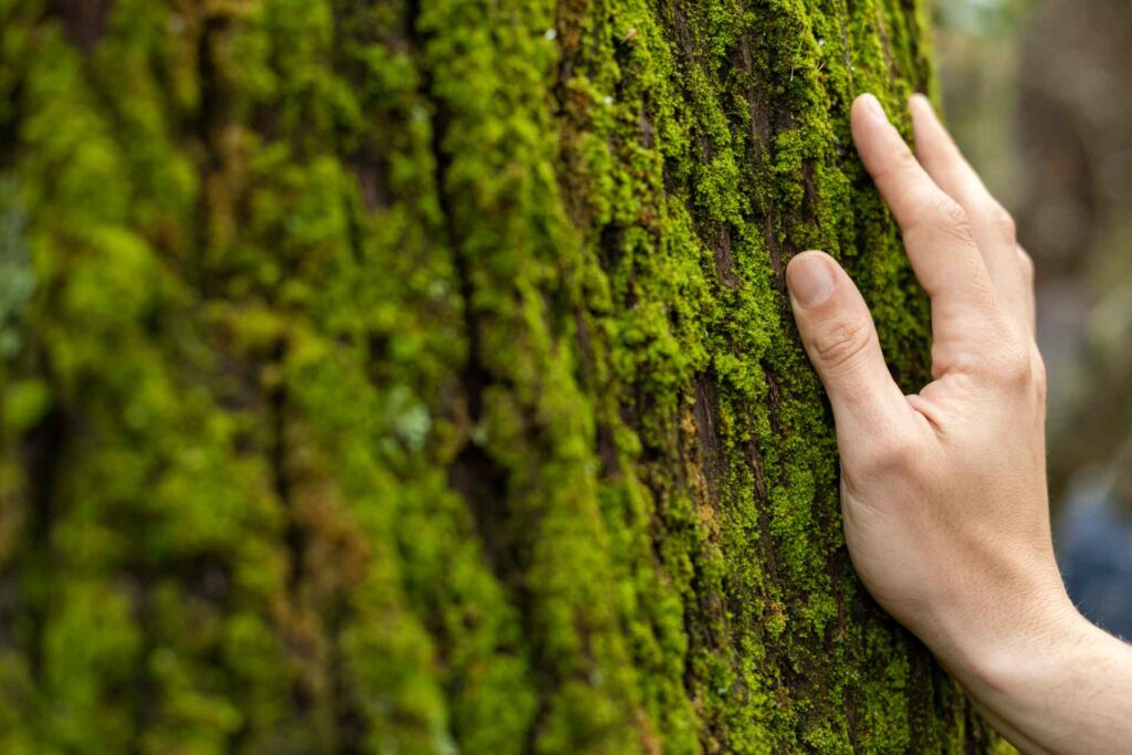 environmental reduce 