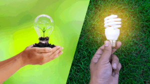 Energy Conservation vs Energy Efficiency