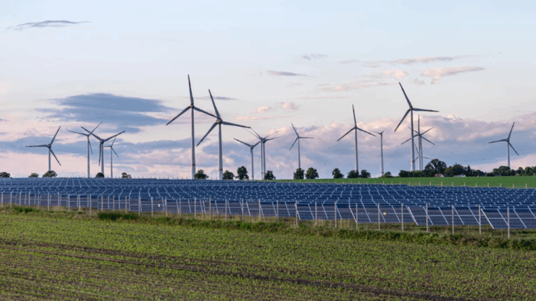 How Is the Global Investment Trend in Renewable Energy Sources Like Solar and Wind?